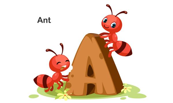A برای مورچه