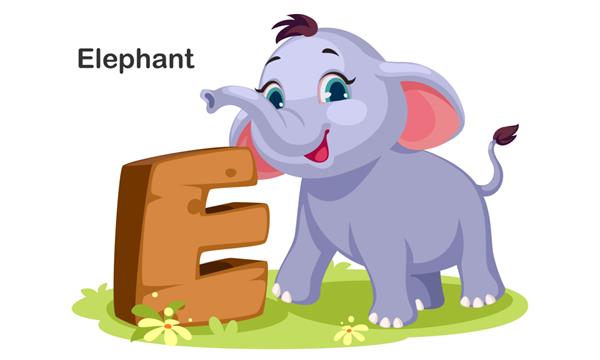 E برای فیل