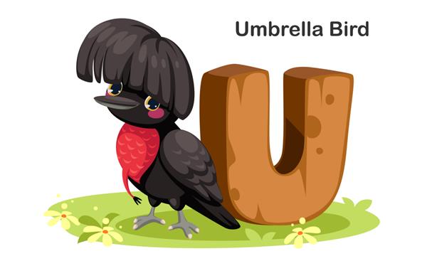 U برای پرنده چتر