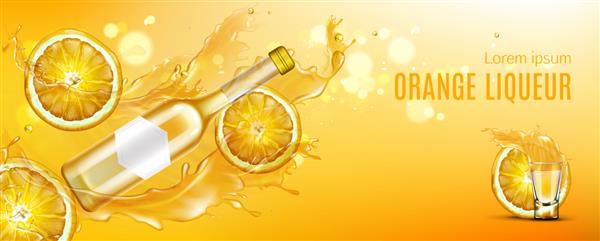 بطری لیکور پرتقال شیشه شات و برش های میوه