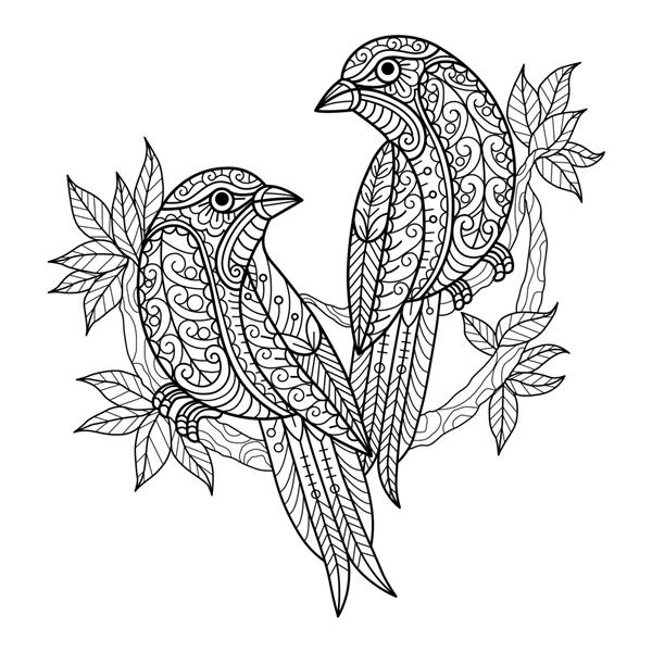 دو پرنده تصویر طراحی دستی برای کتاب رنگ آمیزی بزرگسالان