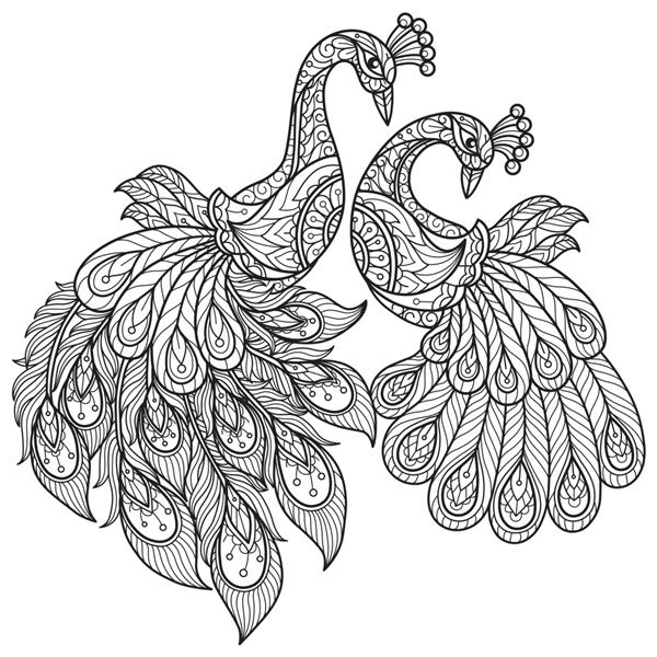عاشقان طاووس تصویر طراحی دستی برای کتاب رنگ آمیزی بزرگسالان