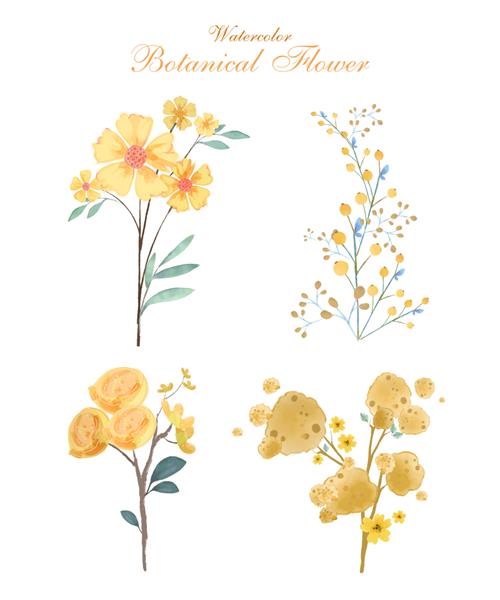 تصویر هنر گل به سبک آبرنگ در گل های گیاه شناسی