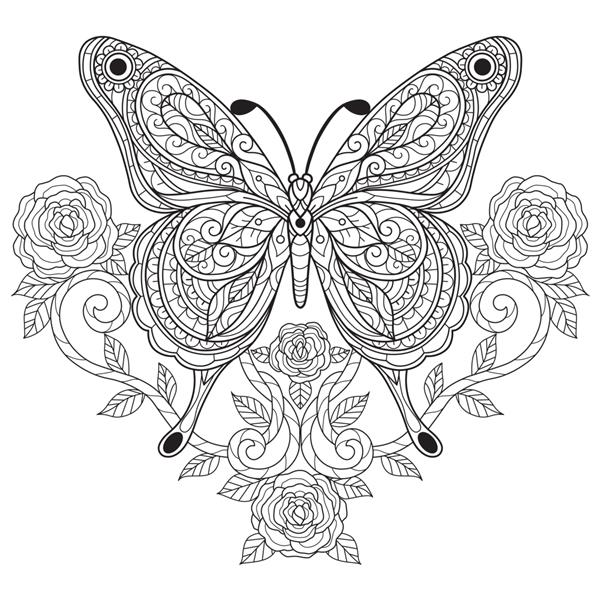 پروانه با گل رز تصویر طراحی دستی برای کتاب رنگ آمیزی بزرگسالان