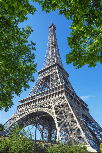نمایی از برج ایفل و درختان پاریس