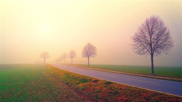 جاده تنهایی مه آلود