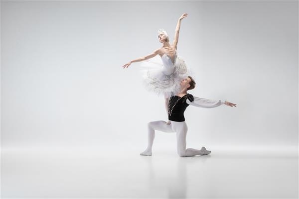 بال برازنده رقاصان باله کلاسیک رقص در پس زمینه استودیو سفید زن و شوهر در لباس سفید مناقصه مثل یک شخصیت قو سفید به لطف هنرمند حرکت عمل و حرکت مفهوم