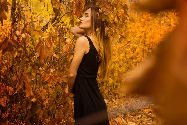 دختر جوان شهوانی با چشمان بسته با لباس مشکی در حال ژست گرفتن در جنگل طلایی در فضای باز