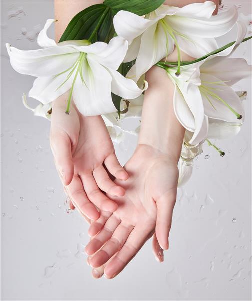 دست های زیبایی با گل های زنبق روی میز دراز کشیده اند دست های زیبایی زن روی آینه گل مرطوب مرطوب می شوند لوازم آرایشی گل طبیعی برای مراقبت از پوست دست پوست زیبایی صاف ضد چروک ضد پیری