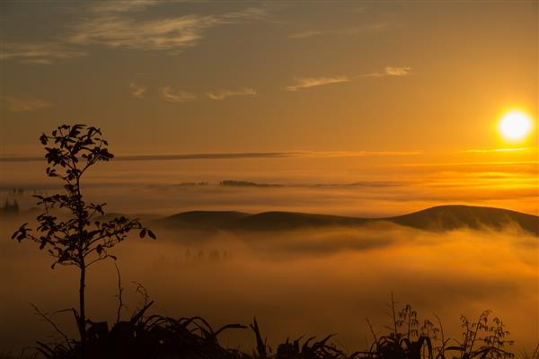 منظره نفس گیر از درختان و تپه های مه آلود که در غروب خورشید در خلیج هاوک نیوزیلند گرفته شده است