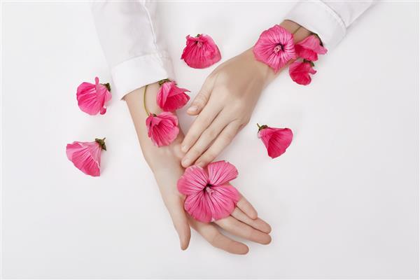 دست هایی با گل های صورتی در پس زمینه سفید