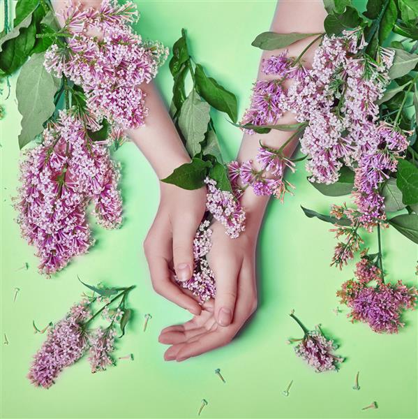هنر مد دست زنان لوازم آرایشی طبیعی گل های بنفش روشن بنفش در دست با آرایش کنتراست روشن مراقبت از دست عکس زیبایی خلاقانه دختری که پشت میز روی زمینه سبز متضاد نشسته است