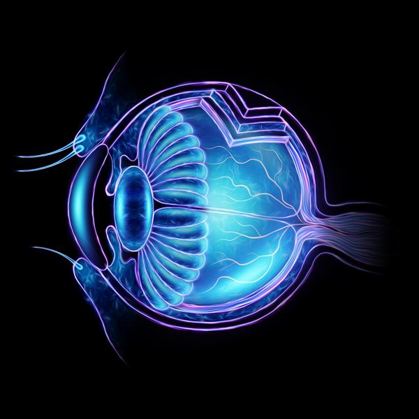 هولوگرام واقع گرایانه چشم انسان برش مقطعی نمای جانبی را در پس زمینه سیاه جدا کنید مفهوم مراقبت های بهداشتی بینایی کاتتراکت استگماتیسم جراحی لیزر چشم تصویر سه بعدی رندر سه بعدی