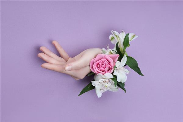 دست زیبایی با گل در یک سوراخ در زمینه کاغذ بنفش لوازم آرایشی دست طبیعت عصاره گل طبیعی مرطوب کننده و نرم کننده پوست