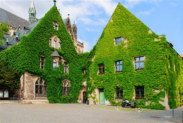 ساختمان سبز پوشیده از گیاهان در آلمان
