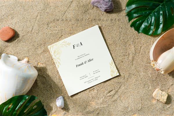 کارت تبریک ماکت در ساحل شنی با صدف و برگ