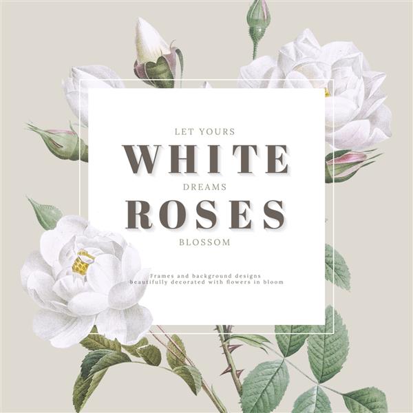 طراحی کارت الهام بخش گل رز سفید