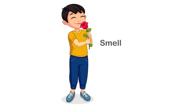 پسر کوچکی در حال بوییدن یک گل که حس بویایی را نشان می دهد