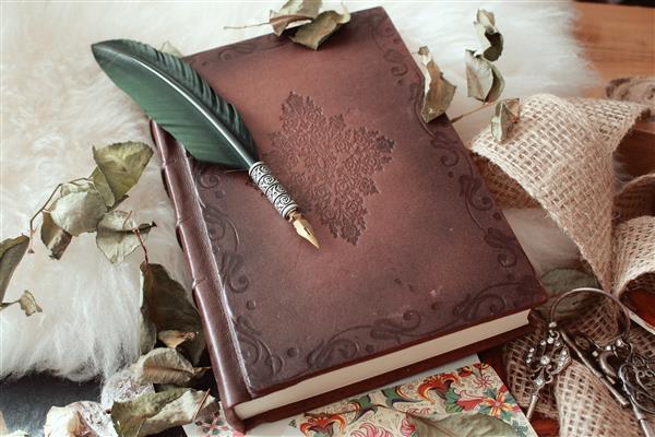 عکسی با زاویه بالا از یک قلم قلم روی کتابی قدیمی که با گلبرگ‌های گل خشک شده پوشانده شده است