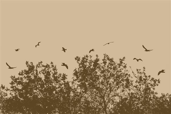 سیلوئت های درخت و شاخه ها با پرندگان در حال پرواز در پس زمینه بژ