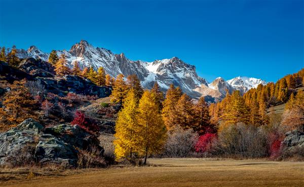 منظره کوه های پوشیده از برف و درختان پاییزی