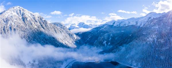 مناظر زیبای جنگلی در کوه های برفی در زمستان
