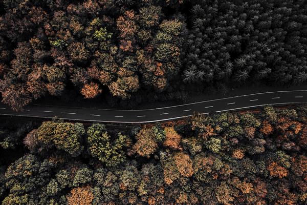عکس هوایی از جاده ای که توسط درختان در جنگل احاطه شده است