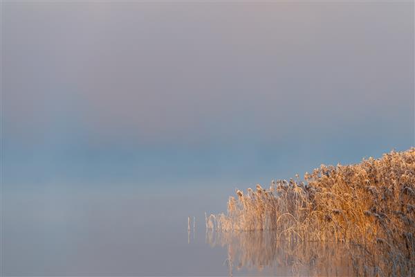 یک صبح زیبا در طلوع خورشید سپیده دم مه در اطراف چشم انداز اوایل زمستان می چرخد