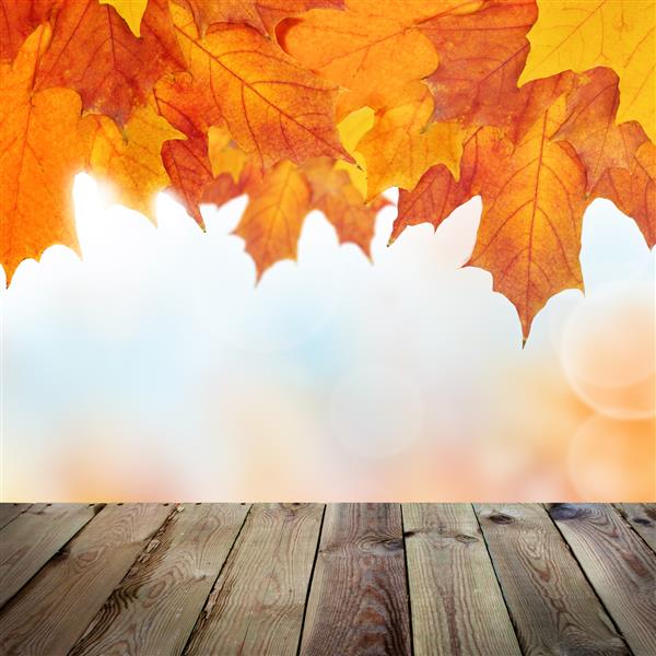 پس زمینه پاییزی با میز چوبی خالی بوکه و برگ های افرا پاییزی الگوی فضای باز قدیمی