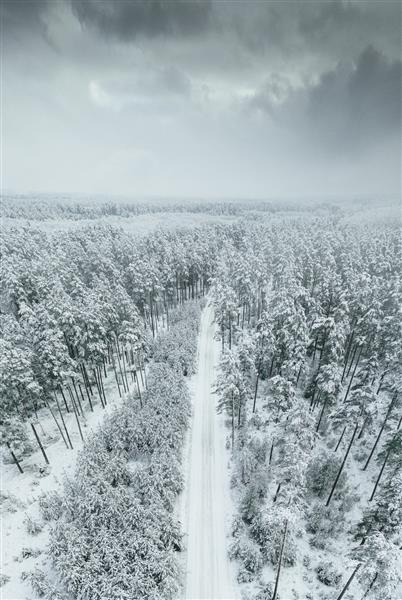 نمای هوایی از جاده پوشیده از برف در جنگل در یک روز زمستانی
