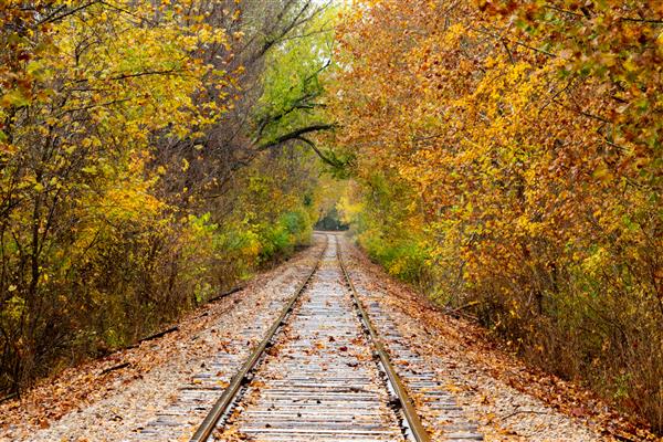 مسیر قطار احاطه شده توسط جنگلی پر از شاخ و برگ های زیبای پاییزی