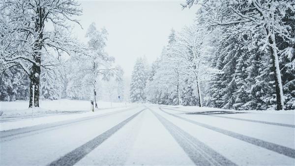 عکس وسیعی از جاده ای که به طور کامل پوشیده از برف با درختان کاج در دو طرف و آثار خودرو