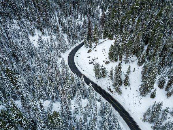 عکس با زاویه بالا از یک بزرگراه پر پیچ و خم در جنگلی از صنوبر پوشیده از برف در زمستان