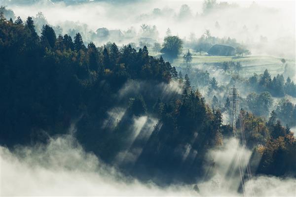 عکس هوایی از جنگل درختی زیبا پوشیده از مه در بلد اسلوونی