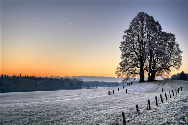 زمینی احاطه شده توسط تپه ها و درختان برهنه پوشیده از برف در هنگام غروب آفتاب در زمستان