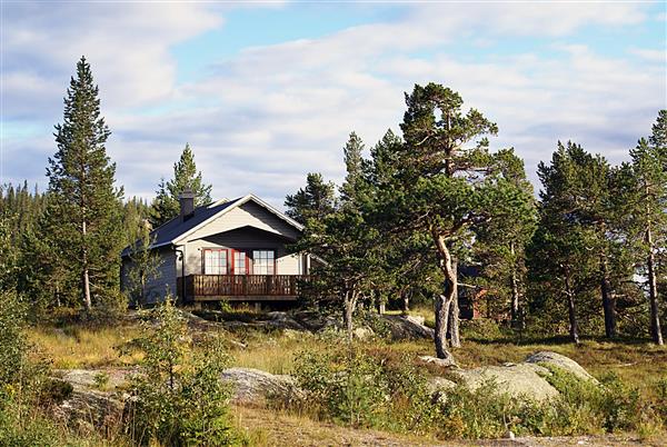 کلبه روستایی نروژی معمولی با مناظر خیره کننده و فضای سبز زیبا در نروژ