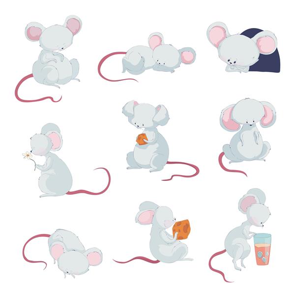 موش های کوچک ناز در موقعیت های مختلف