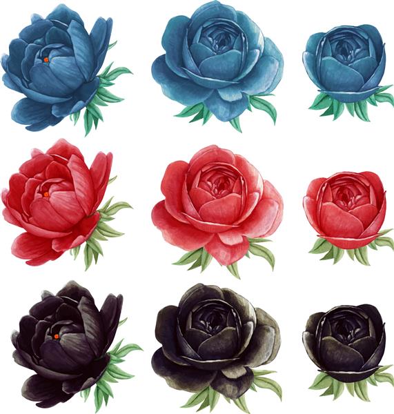 مجموعه گل صد تومانی آبرنگ با کیفیت بالا رنگ های مختلف