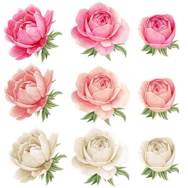 مجموعه گل صد تومانی آبرنگ با کیفیت بالا رنگ های گوتیک