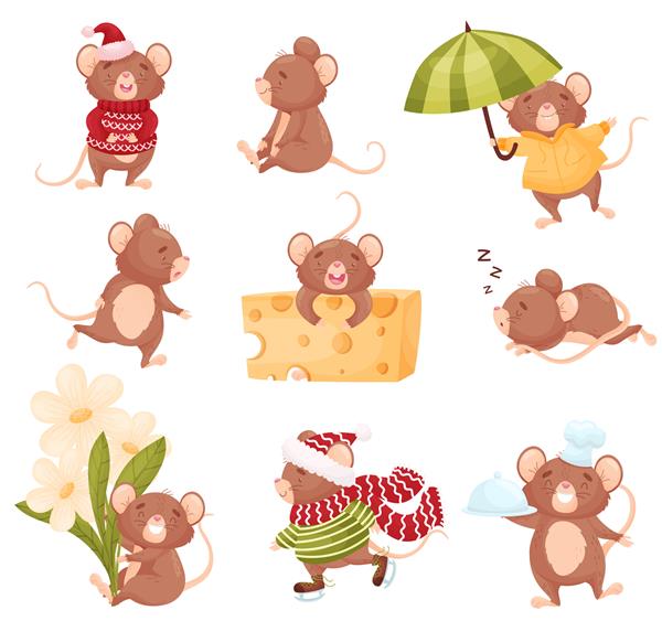 مجموعه ای از موش های زیبا در موقعیت های مختلف