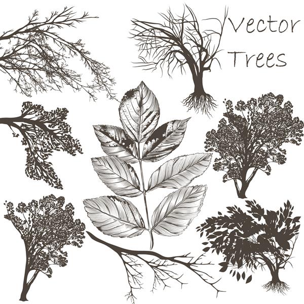مجموعه ای از درختان و برگ های طراحی شده با دست