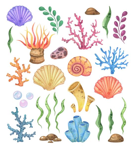 مجموعه آبرنگ صدف مرجان و گیاهان دریایی