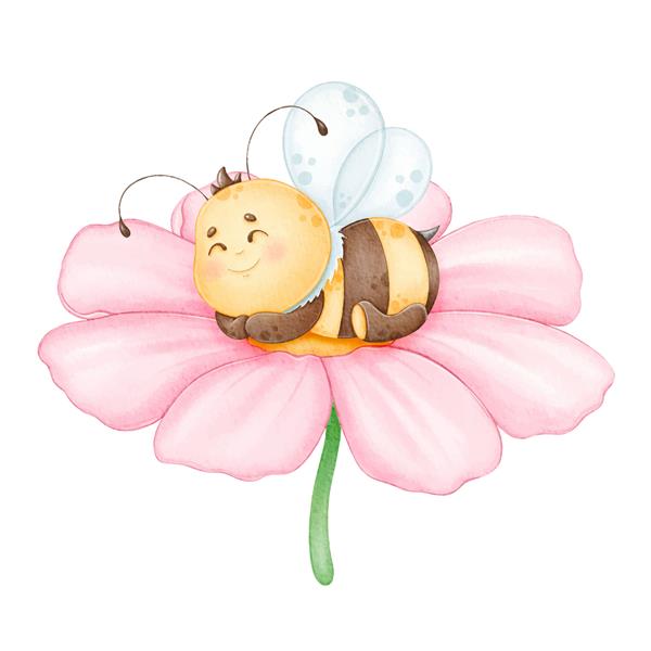 زنبور خواب ناز روی یک گل صورتی