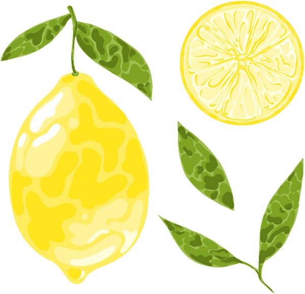 مجموعه ای از عناصر میوه برش ها و برگ های لیمو لیمو