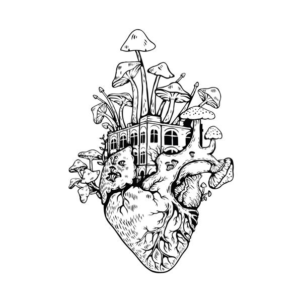 تصویر قلب آناتومیک با قارچ