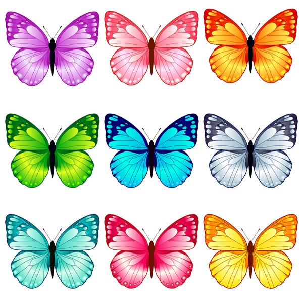 مجموعه پروانه های زیبا 9 رنگ