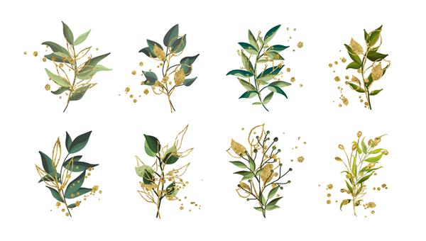 دسته گل عروسی با برگ های سبز طلایی استوایی با پاشش های طلایی جدا شده چیدمان تصویر وکتور گل به سبک آبرنگ طراحی هنر گیاه شناسی
