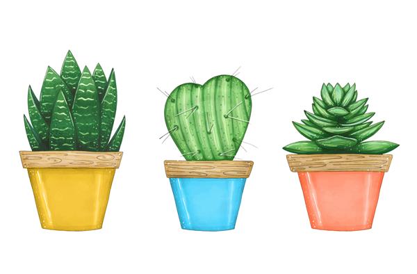 تصویر طراحی شده با دست با مجموعه ای از گیاهان خانگی در گلدان های رنگی