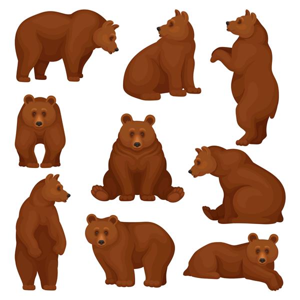 ست خرس بزرگ در حالت های مختلف موجود جنگلی وحشی با خز قهوه ای شخصیت کارتونی حیوان پستاندار بزرگ