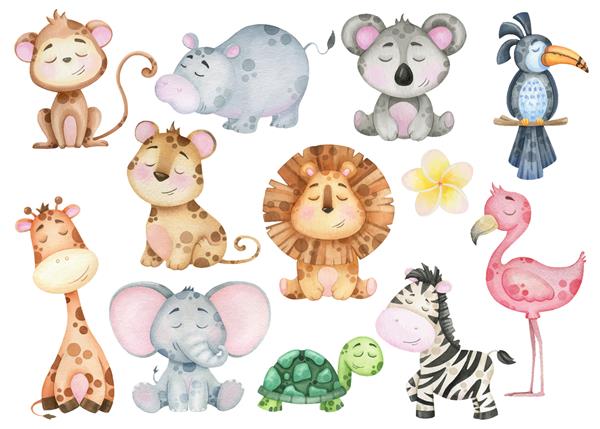 مجموعه بزرگی از کارتونی نوزادان حیوانات عجیب و غریب استوایی گورخر شیر میمون فلامینگو عناصر آبرنگ برای طراحی